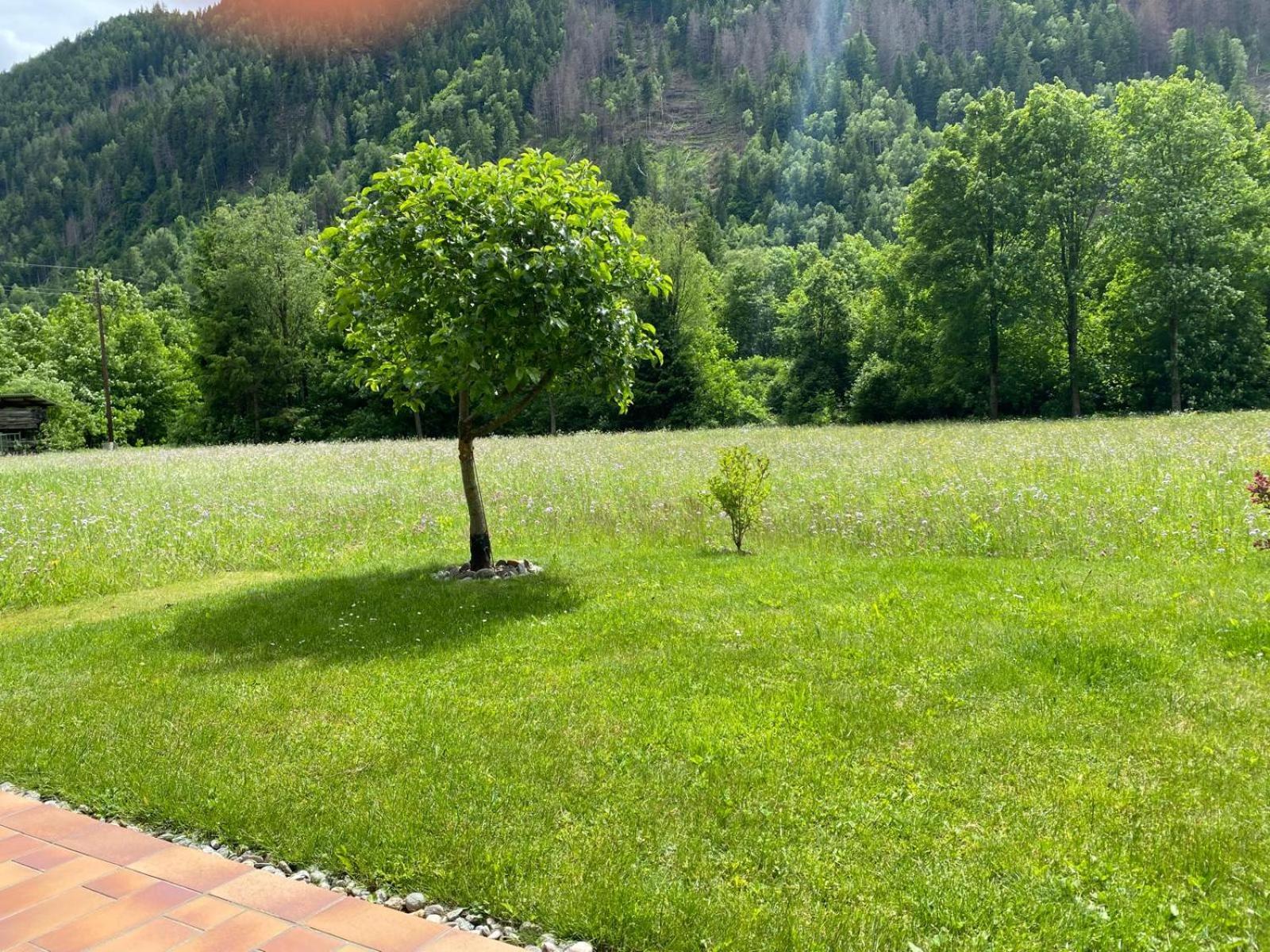 Appartement Dallavia Unterleibnig المظهر الخارجي الصورة
